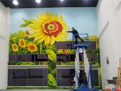 東莞市文化館墻體彩繪【幼兒園墻繪】