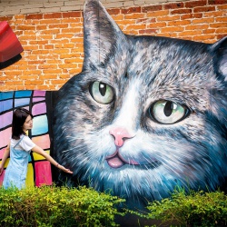 佛山平沙文化墻